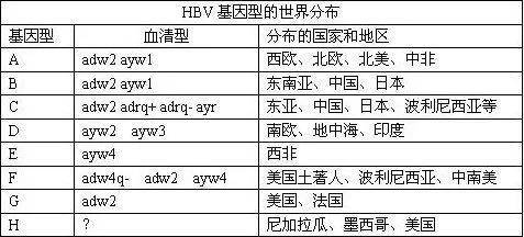 最新疫区分级，理解其重要性及其影响