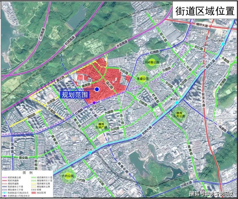 林耀华最新的研究进展与成就概览