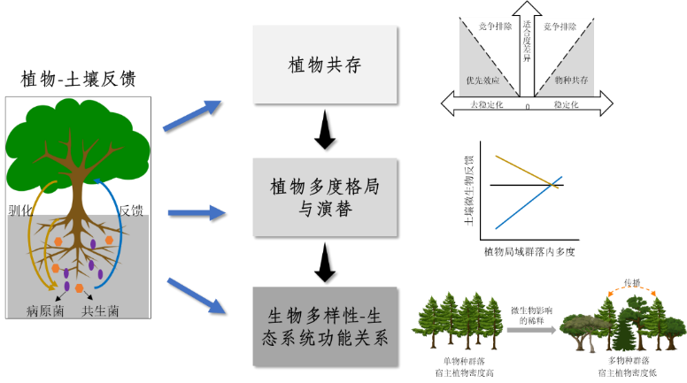 关键勋，最新动态与成就