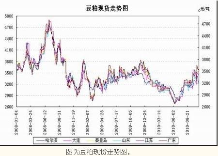 最新的豆粕，市场趋势、应用前景及产业影响