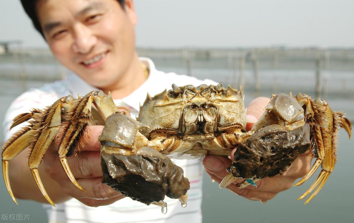 最新肝膏汤，美味与健康并重的一道佳肴