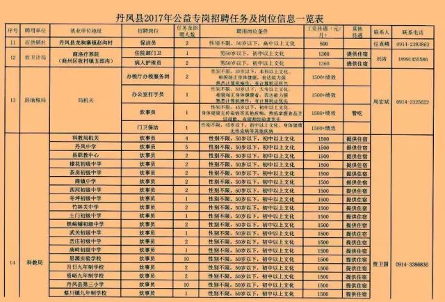 丹凤招聘最新动态，机遇与挑战并存，共创美好未来