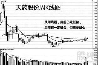 天药股份股票最新消息全面解析