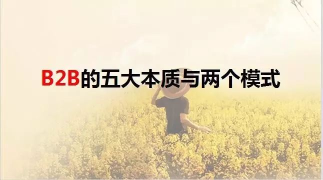 真情追踪，最新一期回顾与感悟