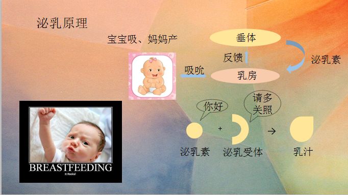 最新中文字幕传上母乳，探索母婴之间的深厚情感与喂养艺术